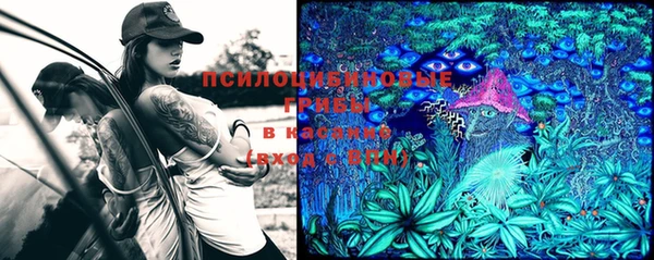 мет Абинск