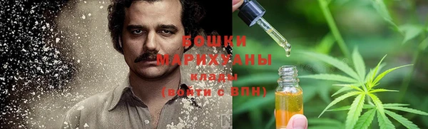 сатива Абдулино