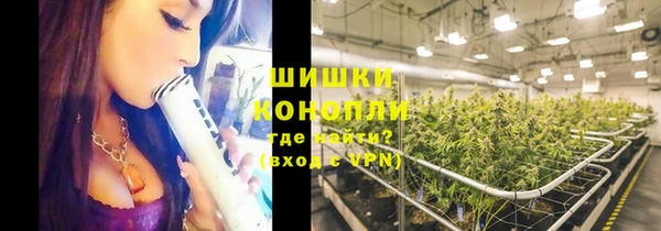 spice Абаза